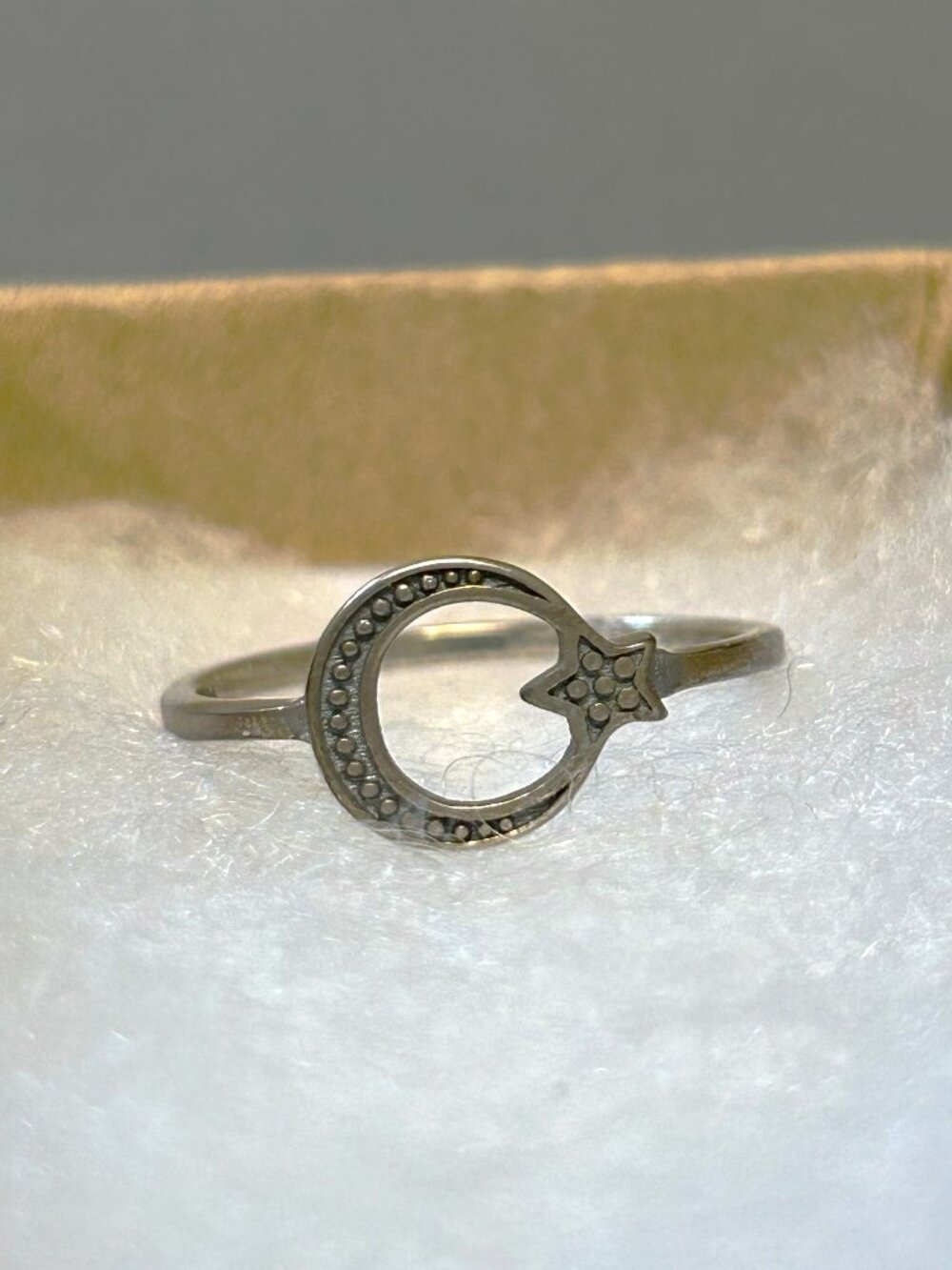 Moon and Star Sterling Silver Ring